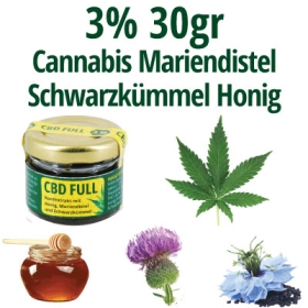 Thymian als Heilpflanze